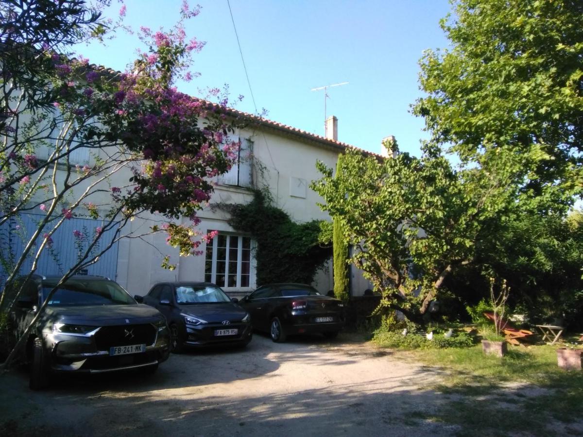 Aparthotel Le Petit Palais Maisonnette Avignon Exterior foto